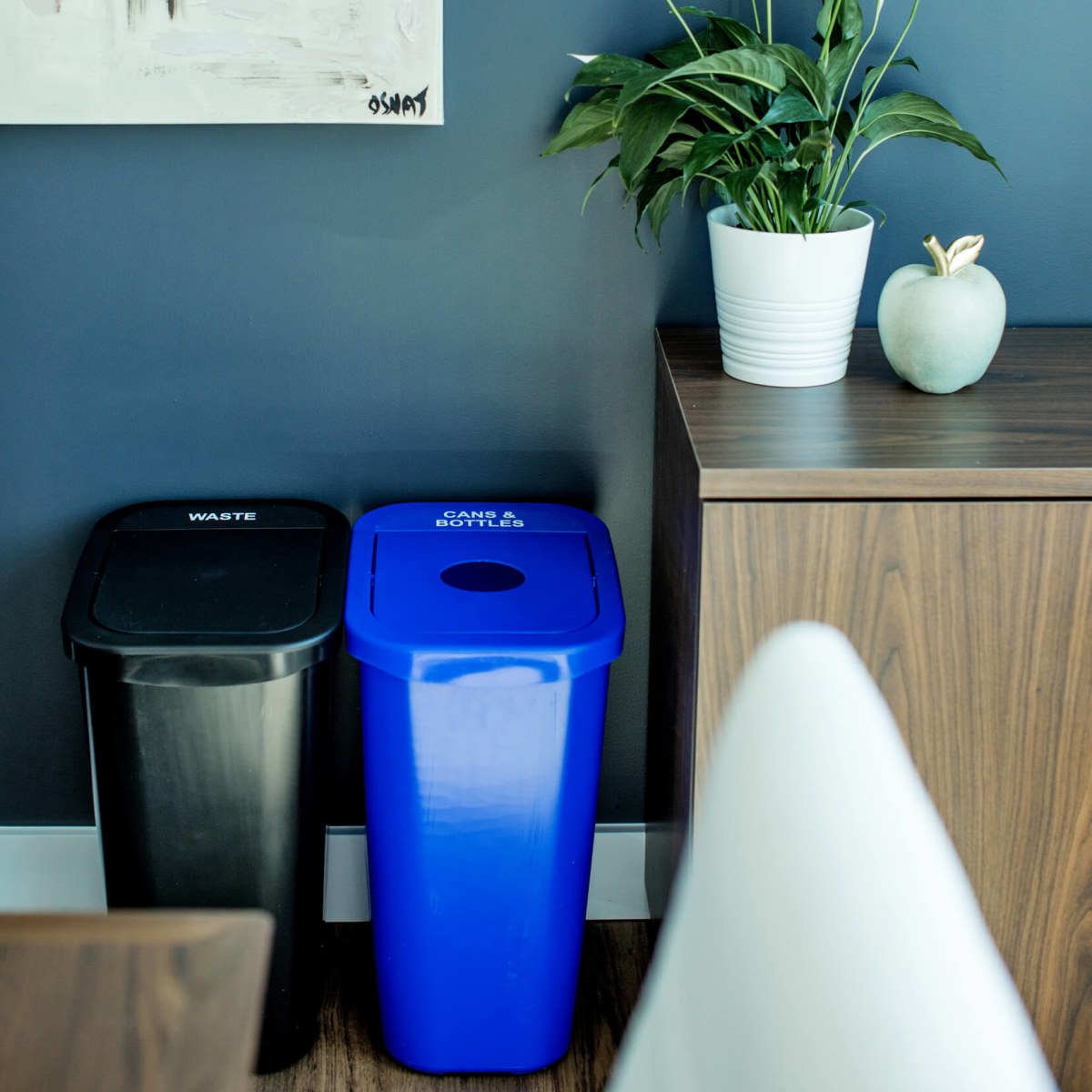 black waste and blue cans and bottles recycling bins in an upscale office
