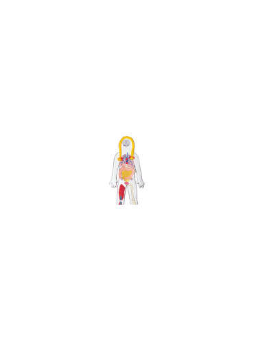 s--7nUCXxVk--/xkiinpqr02hcvsmuhuxb.jpg
