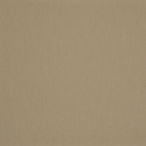 Beige woven-texture wall covering filling the frame, appearing uniformly smooth and unmarked; neutral, softly lit background with no other visible objects.