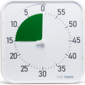 Original 12" Timer (White with Green Disk)