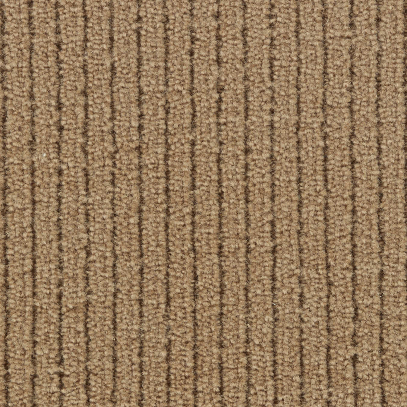 color-rug1