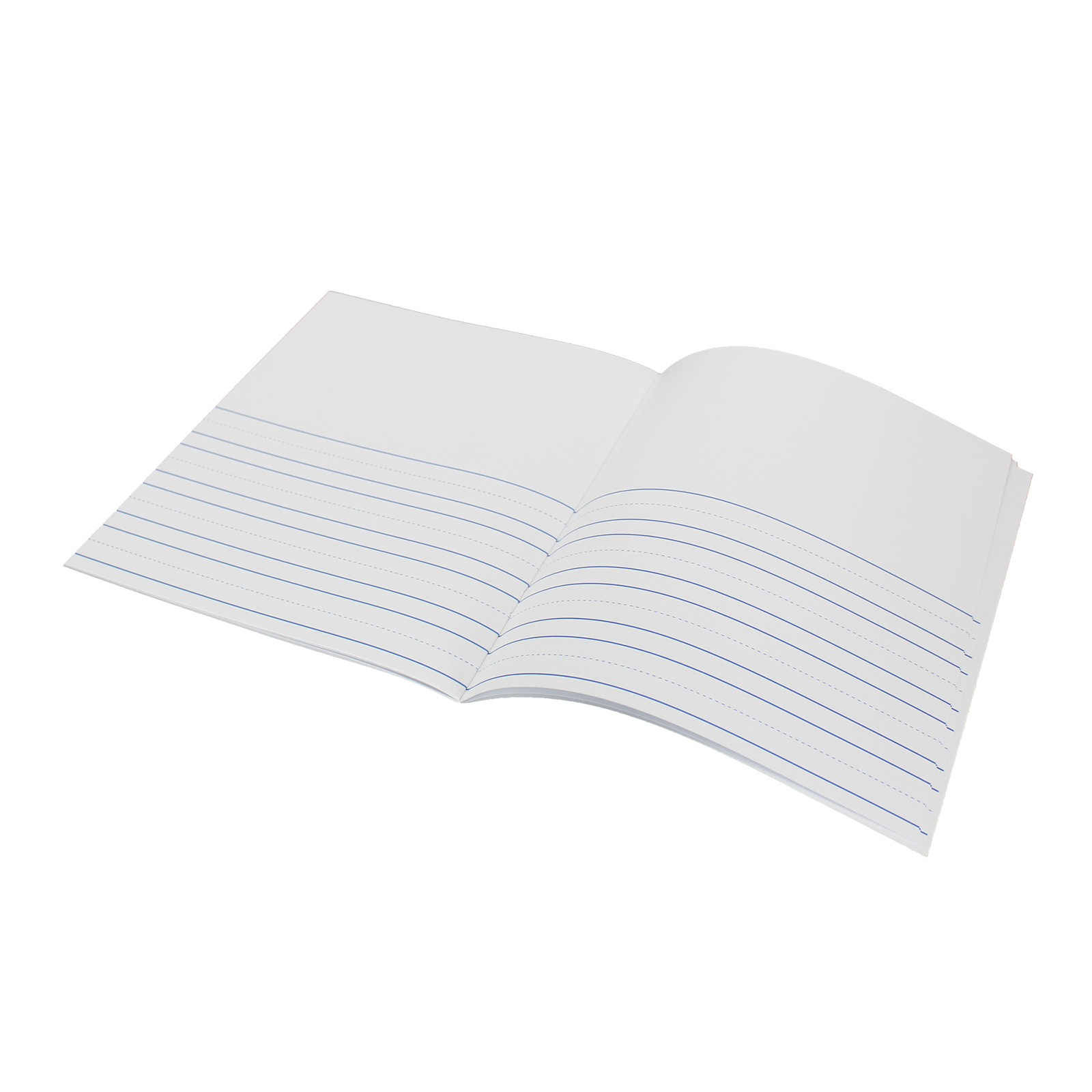 Anime Drawing Book: 8.5X11 Blank Notebook - fj410pt