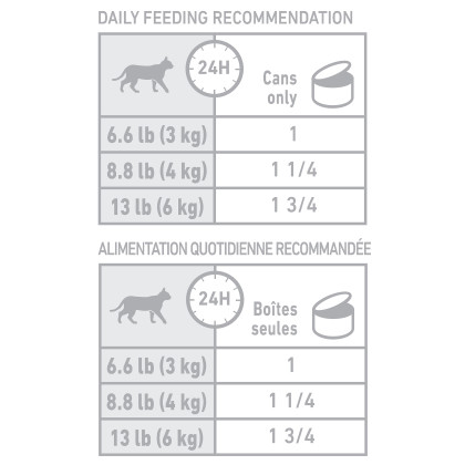 Royal Canin Veterinary Diet Feline Renal Support E Loaf in Sauce Canned Cat Food