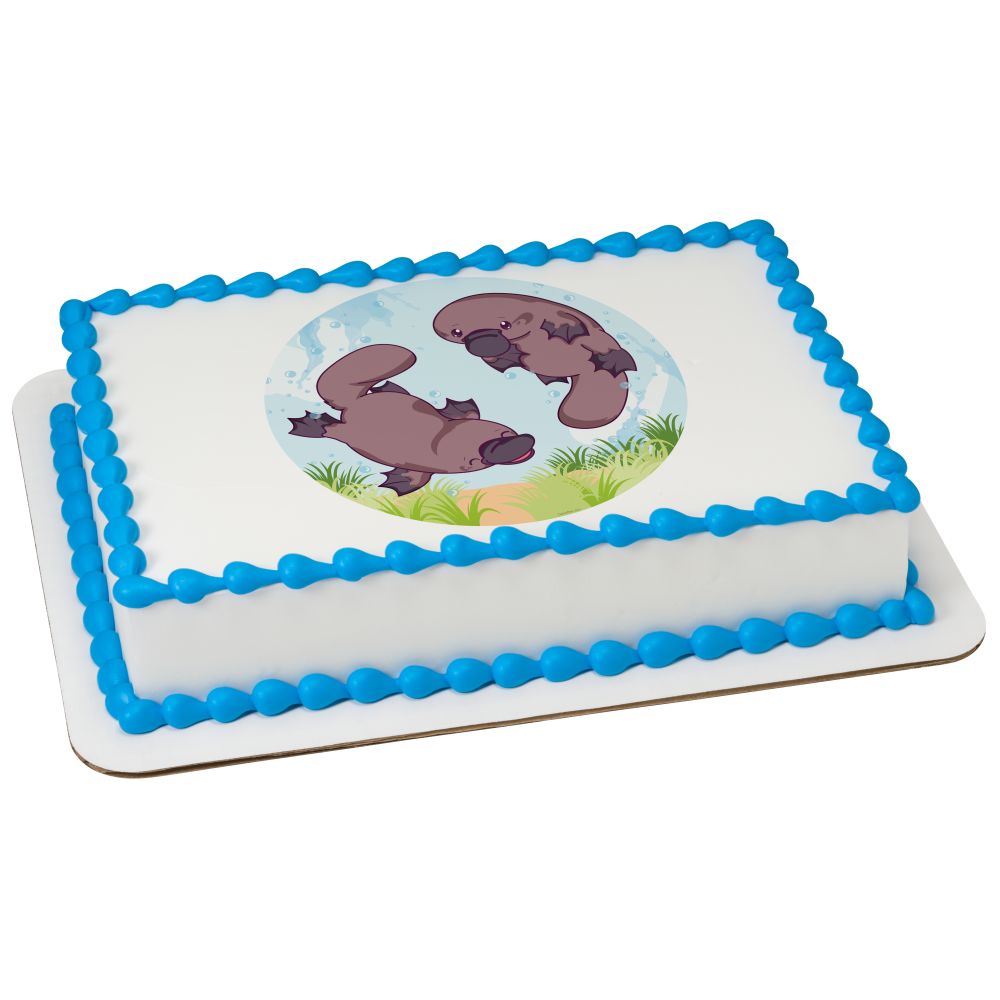 Image Cake Happy Platypus