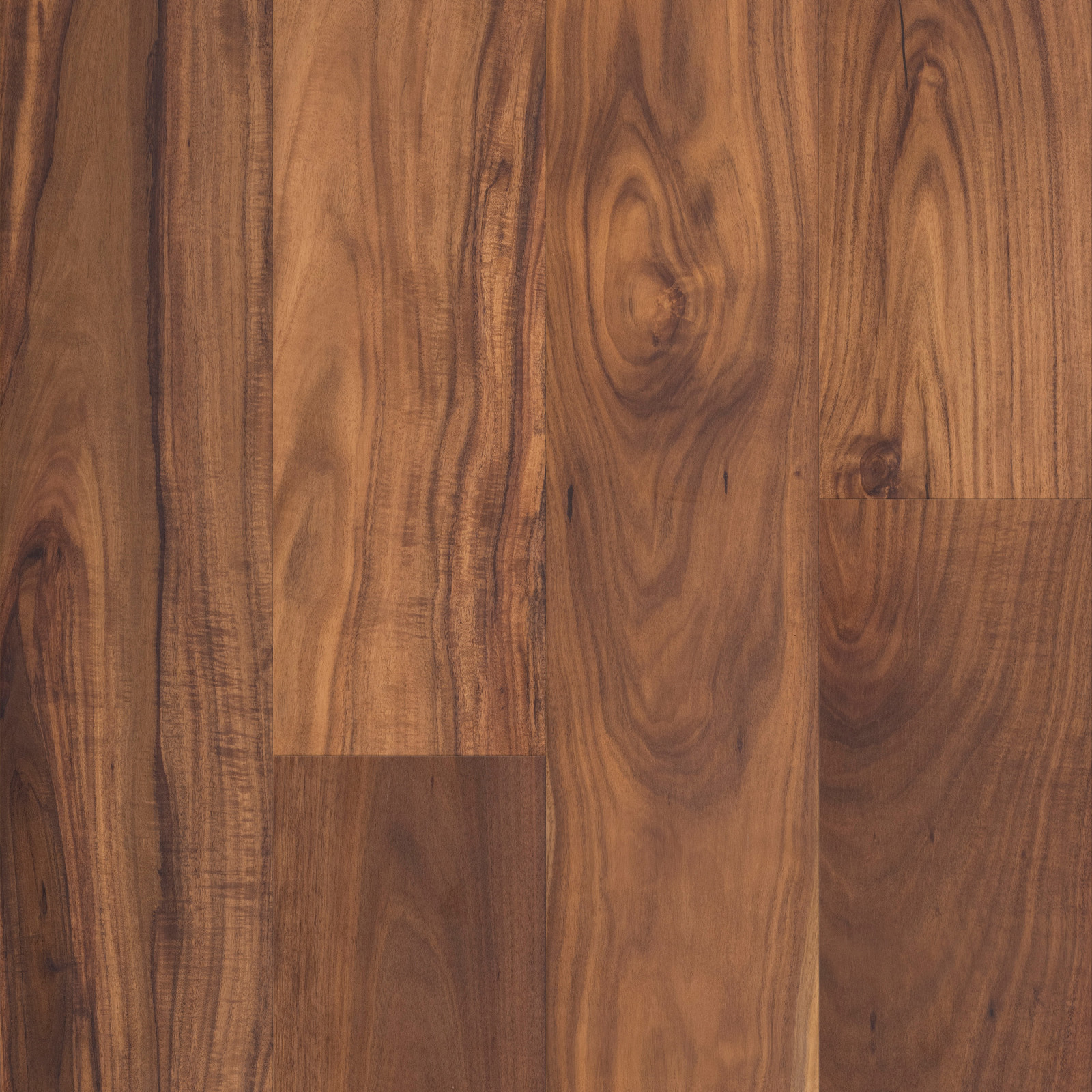 Natural Acacia Varietals Threshold view 4