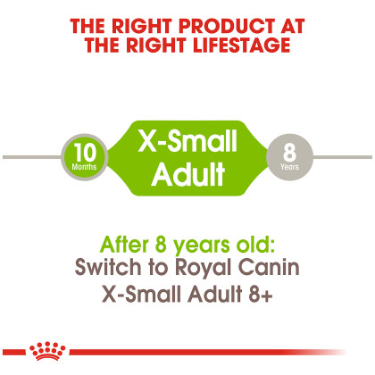 X-Small Adult Dry Dog Food