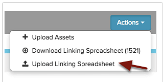 Importing the Linking spreadsheet back into Salsify