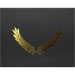 Gold Foil Stamped Black Certificate Folders, 10" x 13", Pack of 30