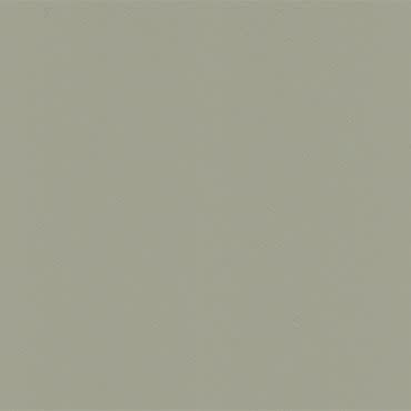 Pale grayâ€‘green textured wall surface (no window dressing), showing subtle brush or stucco texture; static and uniformly painted, close-up view suggesting an interior wall under soft, diffuse lighting.