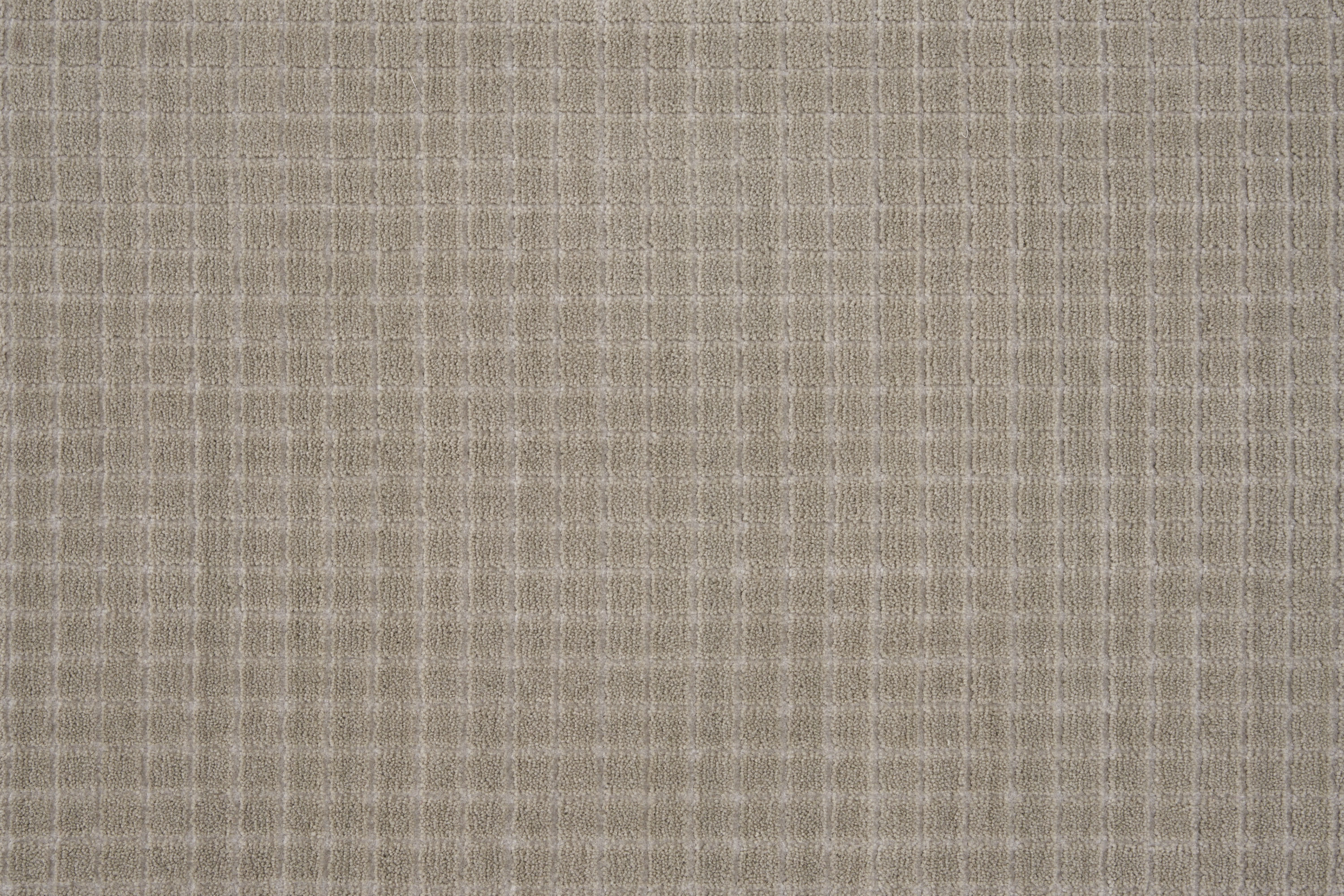 color-rug1