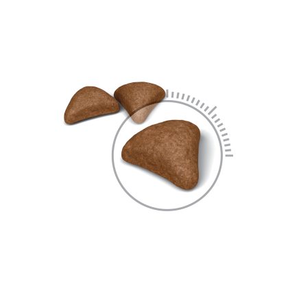 Hairball Care kibble