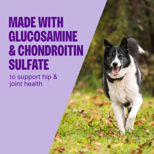 The benefits of Wellness CORE Healthy Joints Beef & Chicken Meal