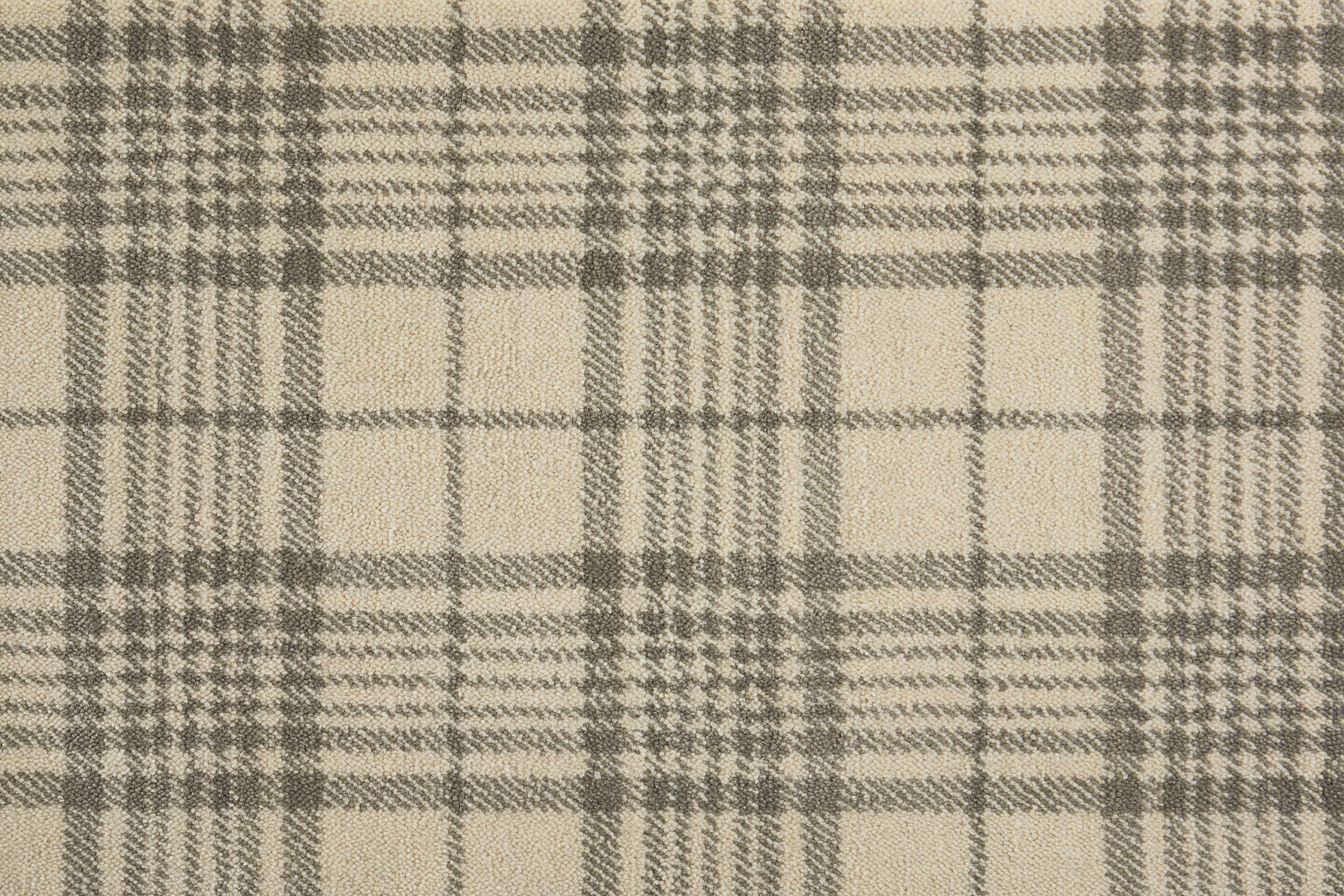 color-rug1