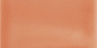 Vivid Peach 3×6 Field Tile Glossy