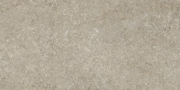 Sensi Ivory Fossil 24×48 Field Tile Matte Rectified