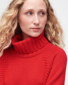 Norma Rollneck Jumper 