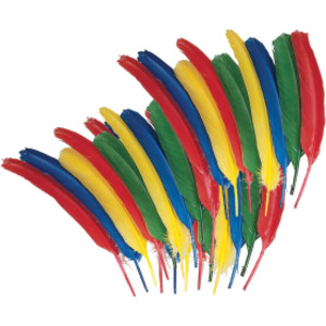 Quill Feathers, Assorted Colors, 12", 24 Pieces