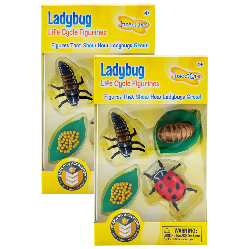 Insect Lore Ladybug Life Cycle Stages, 4 Per Set, 2 Sets - Zuma