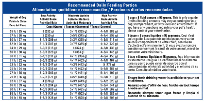 Royal Canin Canine Care Nutrition Large Weight Care Dry Dog Food