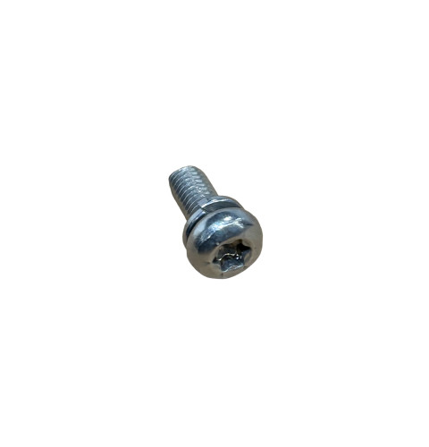 Hinge Screw