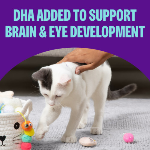 Wellness CORE SIGNATURE SELECTS Kitten Flaked Skipjack Tuna & Wild Salmon Entrée in Broth marketing callout