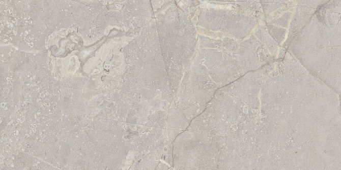 Aurora Gray 12×24 Field Tile