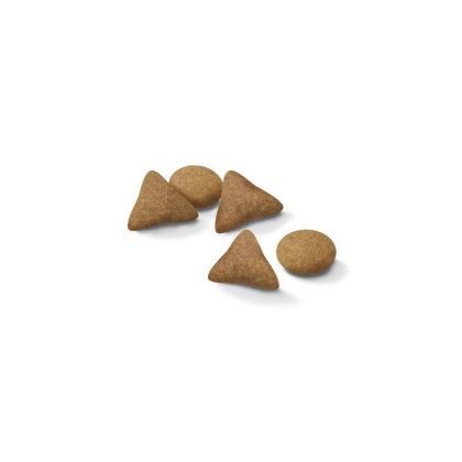 Indoor Appetite Control kibble