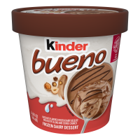 Frozen Dairy Dessert, 14 fl oz