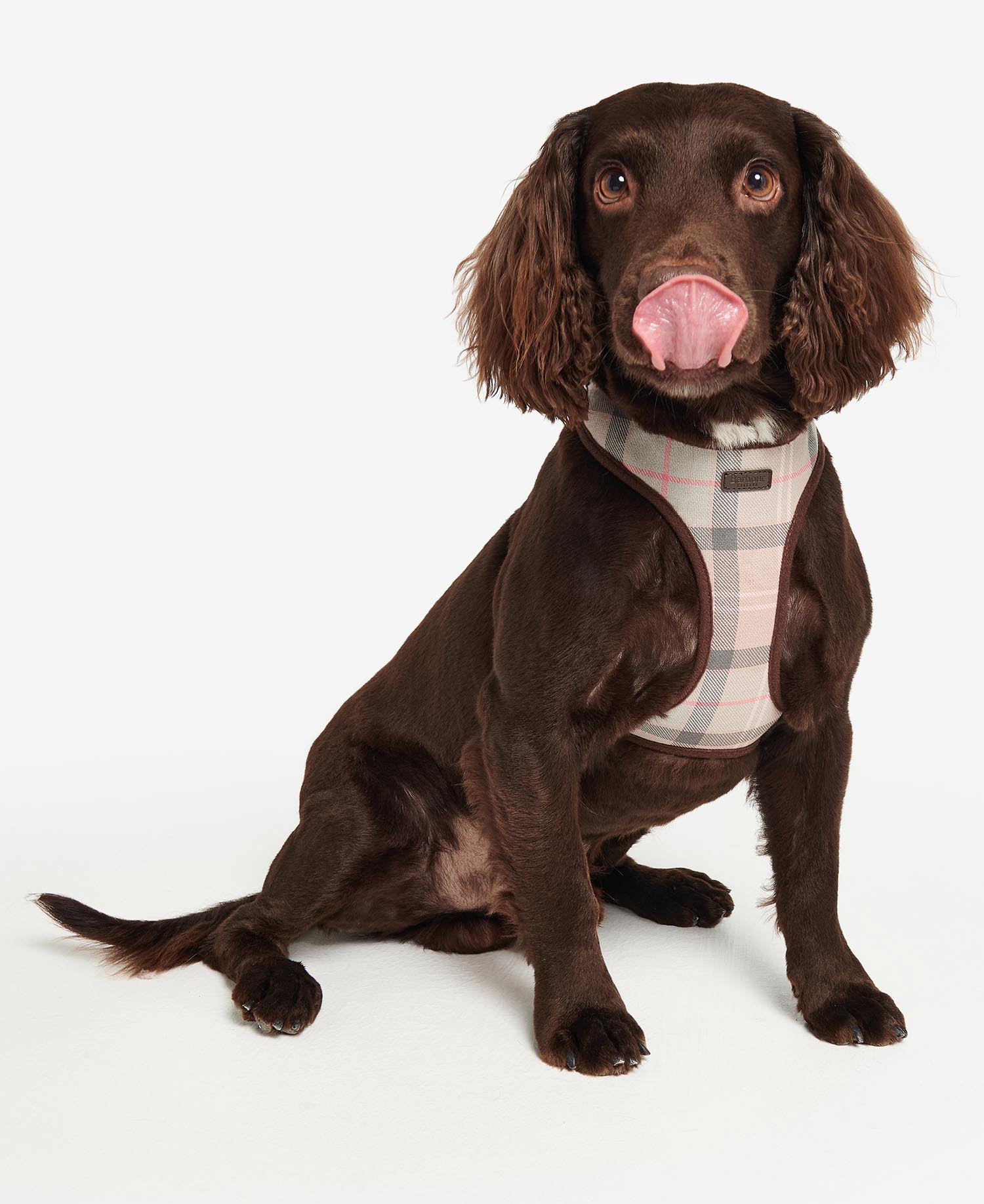 Tartan Dog Harness image number 0