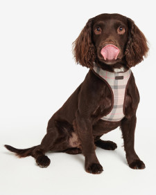 Tartan Dog Harness Taupe-Pink Tartan