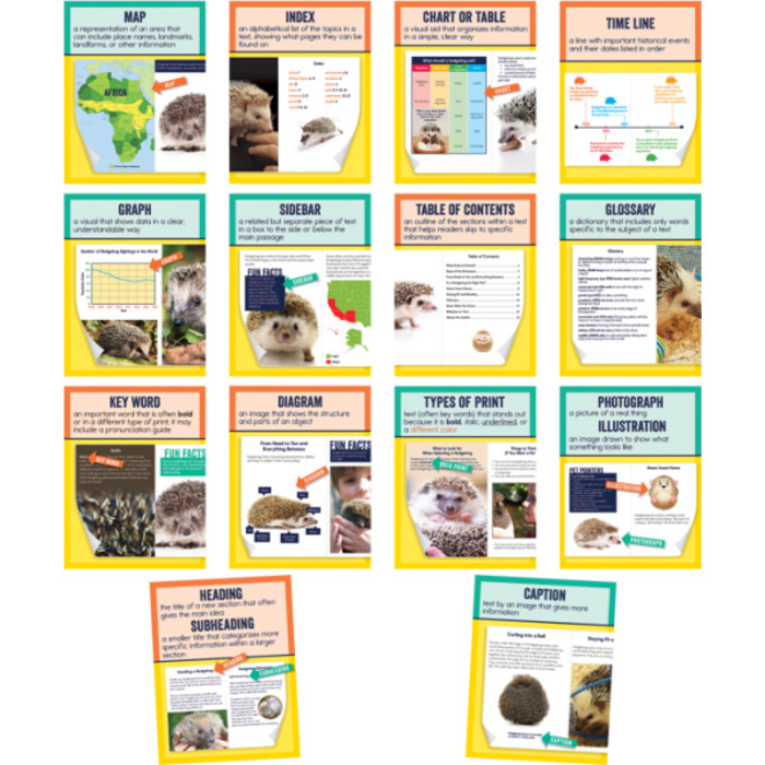 Mini Posters: Nonfiction Text Features Poster Set, Grade 1-6, 14 Pieces