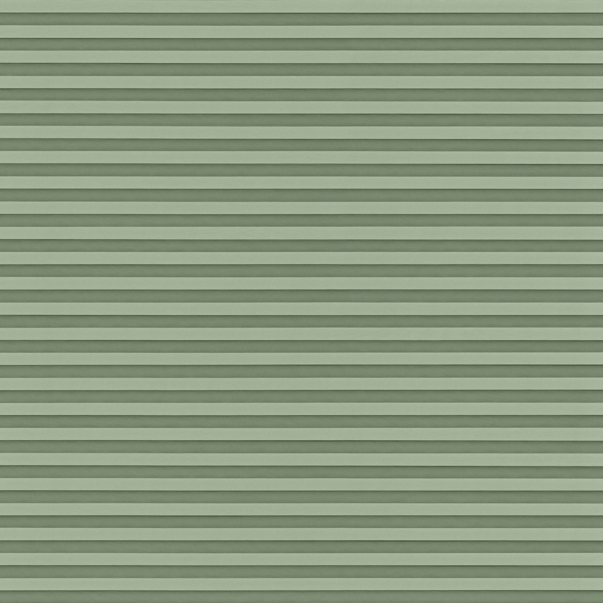 Malbec Olive Pleated blind