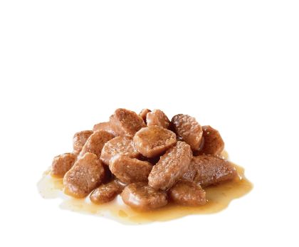 Urinary Care (in gravy) kibble