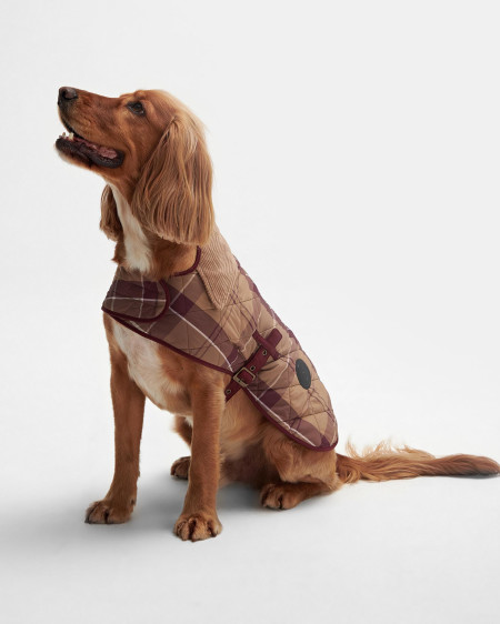 Tartan Dog Coat