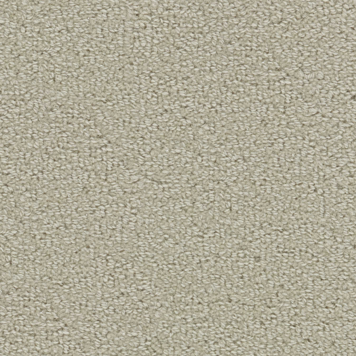 color-rug1