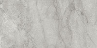 Amica Ardesia 24×48 Field Tile Polished Rectified