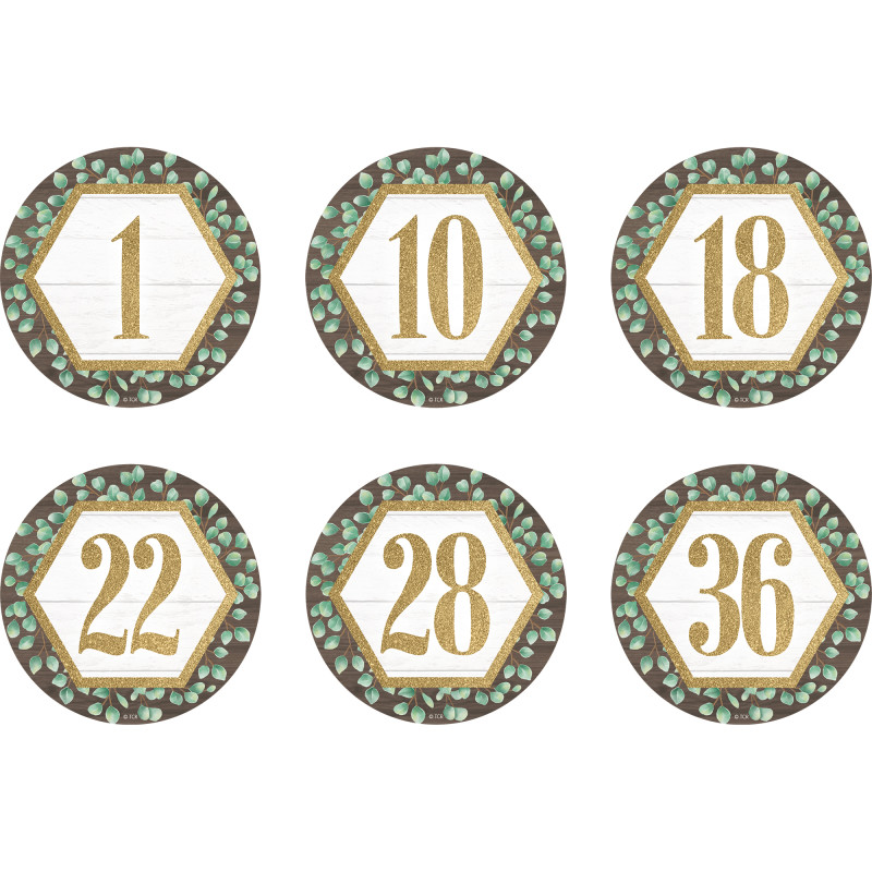 Spot On Floor Markers Eucalyptus Numbers 1-36, 4", Pack of 36