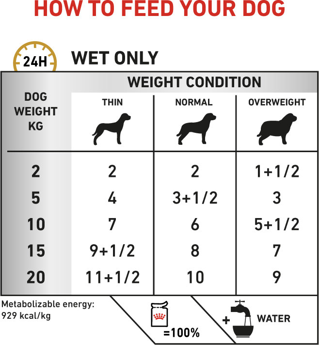 Feeding Guide