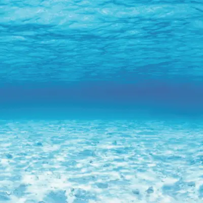 Fadeless Bulletin Board Paper, Fade-Resistant Paper for Classroom Decor, 47.25” x 50’, Under the Sea, 1 Roll