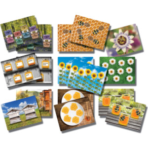 Honey Bee Early Number Cards, Set of 16