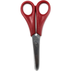 Scissors - Student 5" Blt - Stainless Steel - Ass