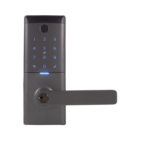 Gainsborough Mode Smart Entrance Lock