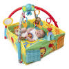Sunny Safari™ Baby's Play Place™ Activity Gym