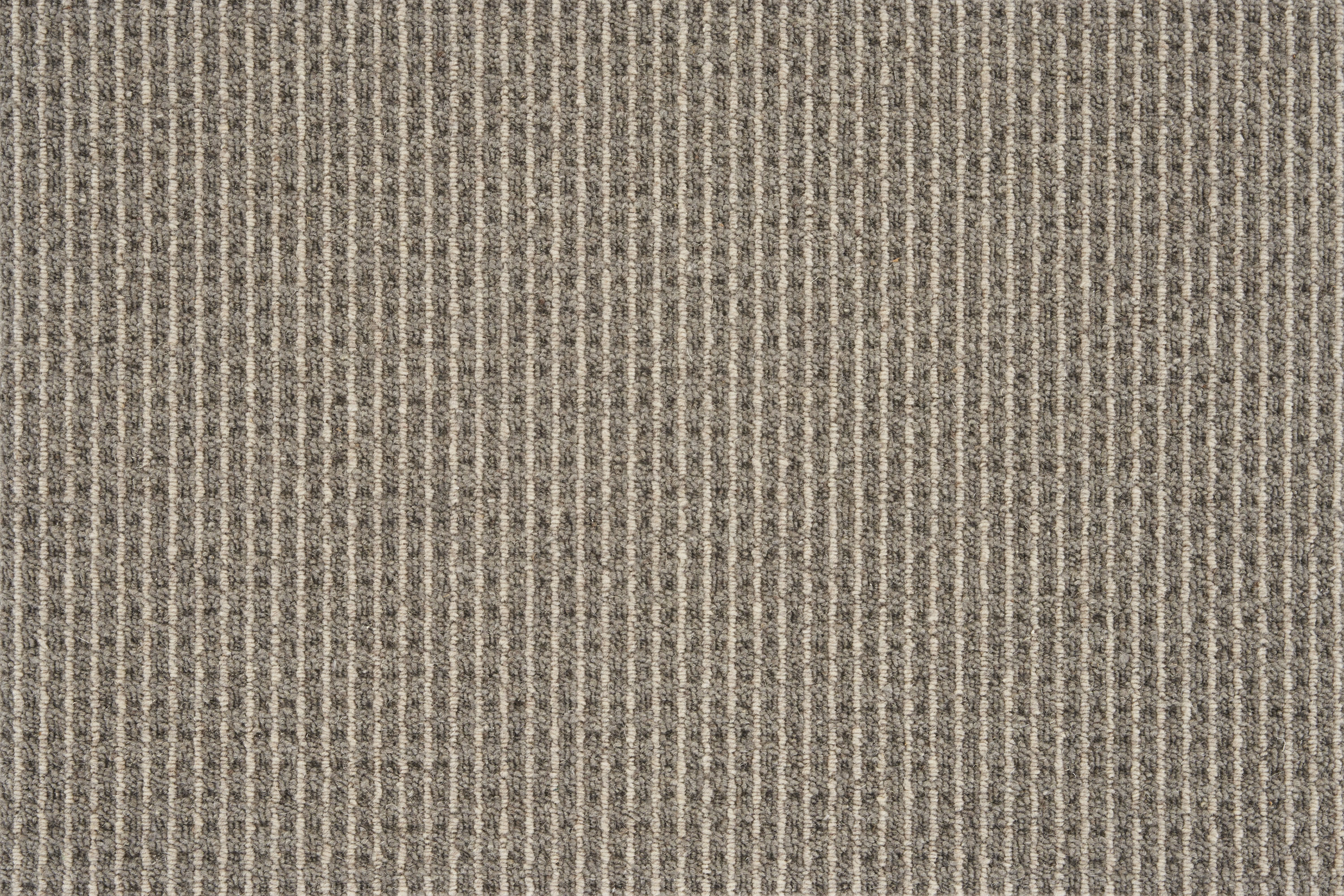 color-rug1