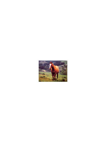 s--95h_gI8X--/ujp6p2ue4okls0zuwucl.jpg