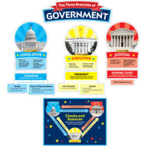 Our Government: Bulletin Board