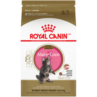 Maine Coon Kitten Dry Cat Food