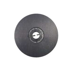 Main Pad Holder R36 Disc