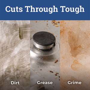 Clorox, CloroxPro Pine-Sol Multi-Surface Cleaner Concentrated, Lavender Clean Scent,  80 oz Bottle