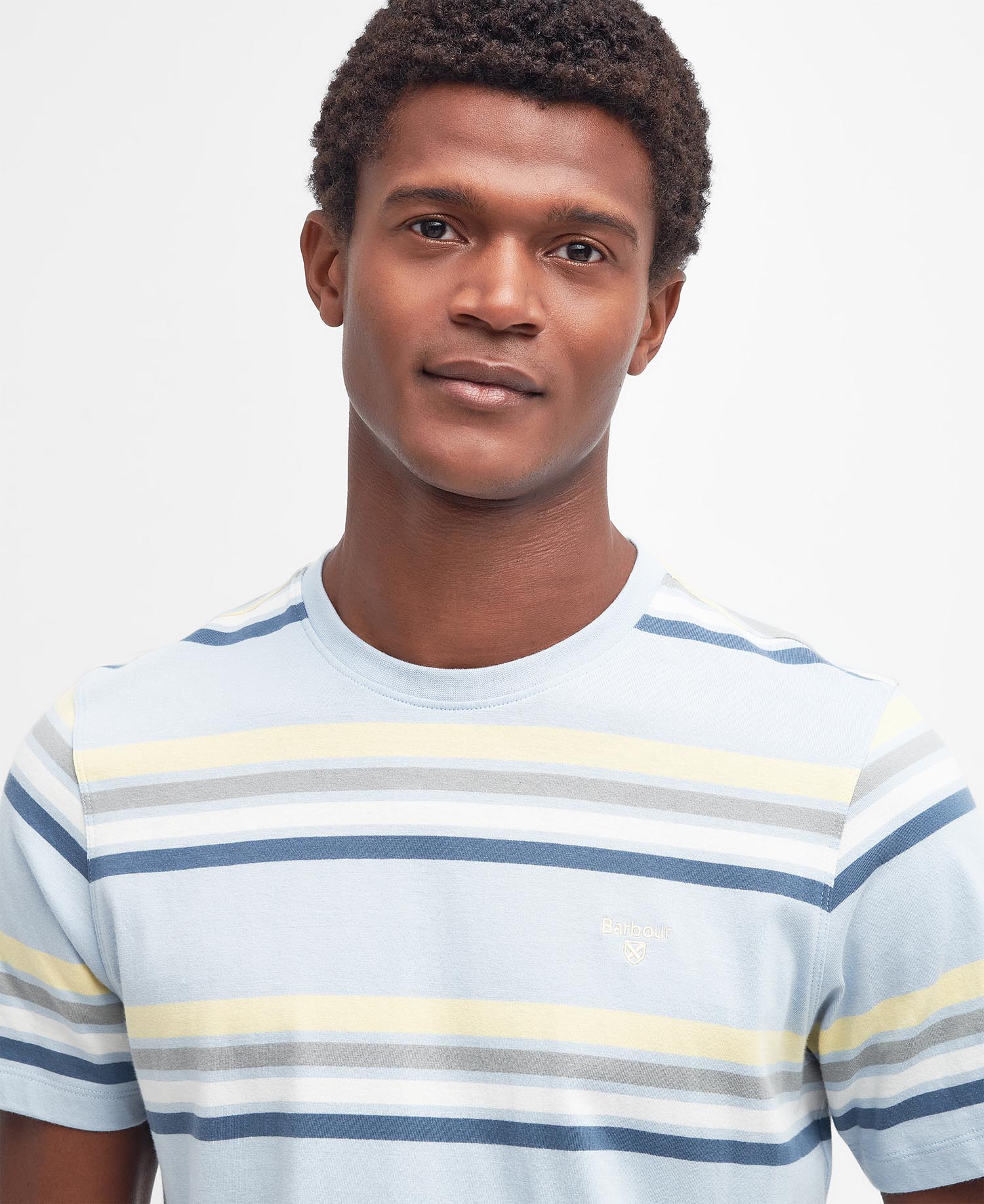 Hamstead Striped T-Shirt image number 3